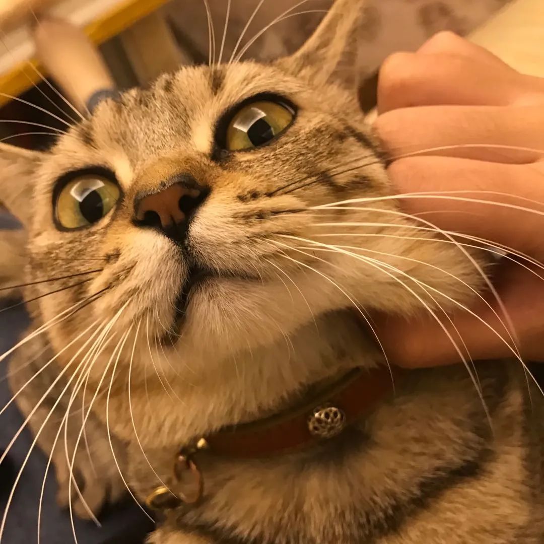 DƬ